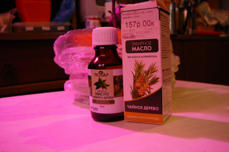 P1020113.JPG