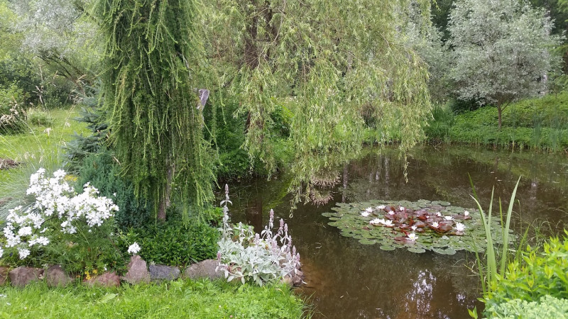 20220710_100008.jpg
