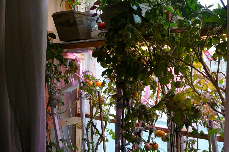 P1020119.JPG