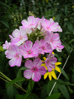 DSCN6073.JPG