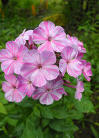 DSCN6141.jpg