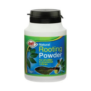 Doff-Natural-Rooting-Powder-300x300.png