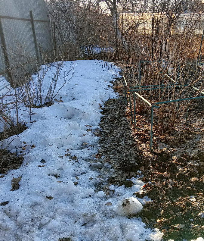 IMG_20230405_131159.jpg