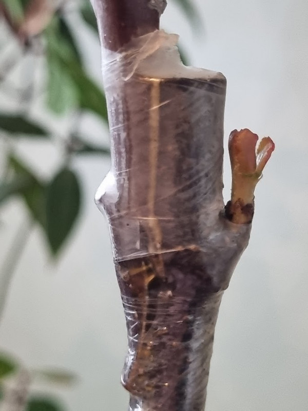 20230405_154144.jpg