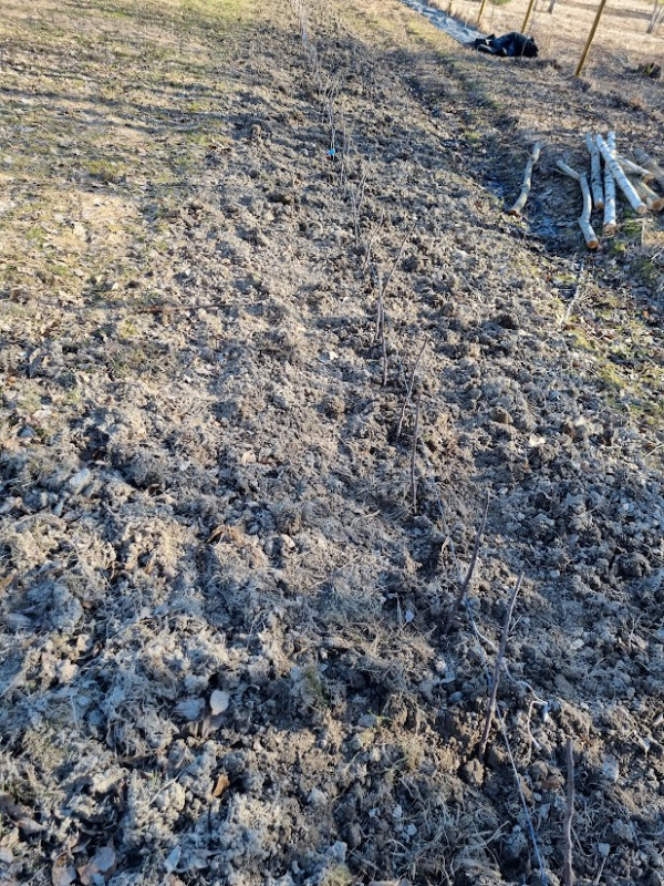 20230414_170646.jpeg