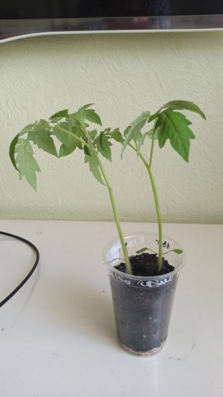 IMG-20230420-WA0067.jpeg