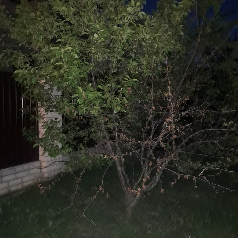 20210522_213926.jpg