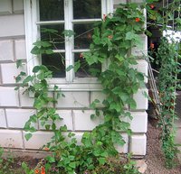 IMG_6102.jpg