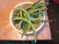 IMG_6100.jpg