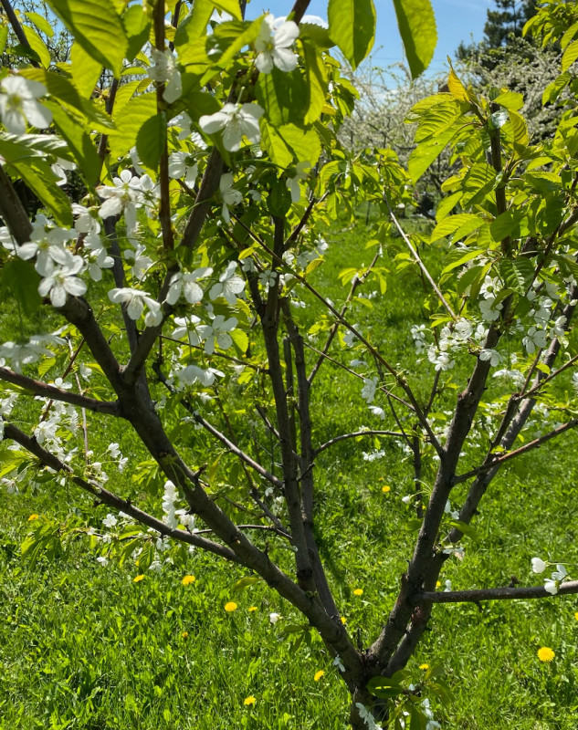 C0712386-F1DE-46E7-AF43-F0172478D911.jpeg