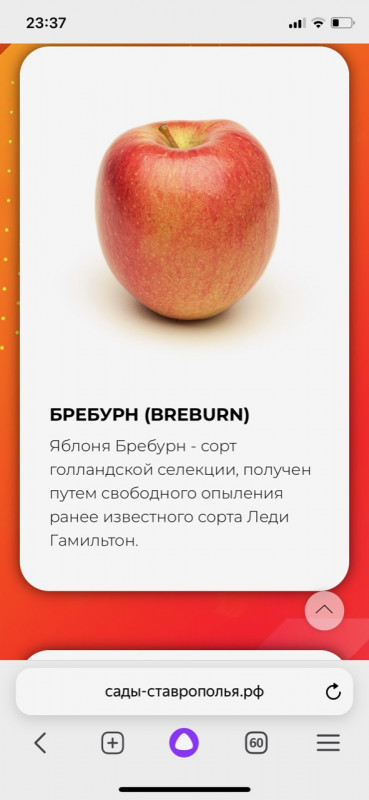 6A6331C0-F4EB-4A4E-AFAE-CEA5BF9F4B50.jpeg