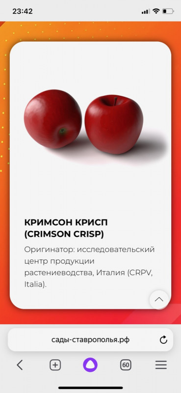 3C4C5E3B-3ACD-4FCF-8CDB-455B7E9FCAC0.jpeg