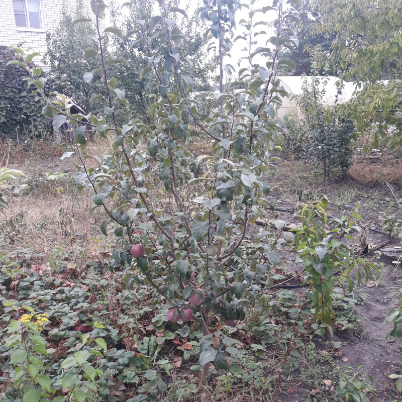 20220911_153132.jpg