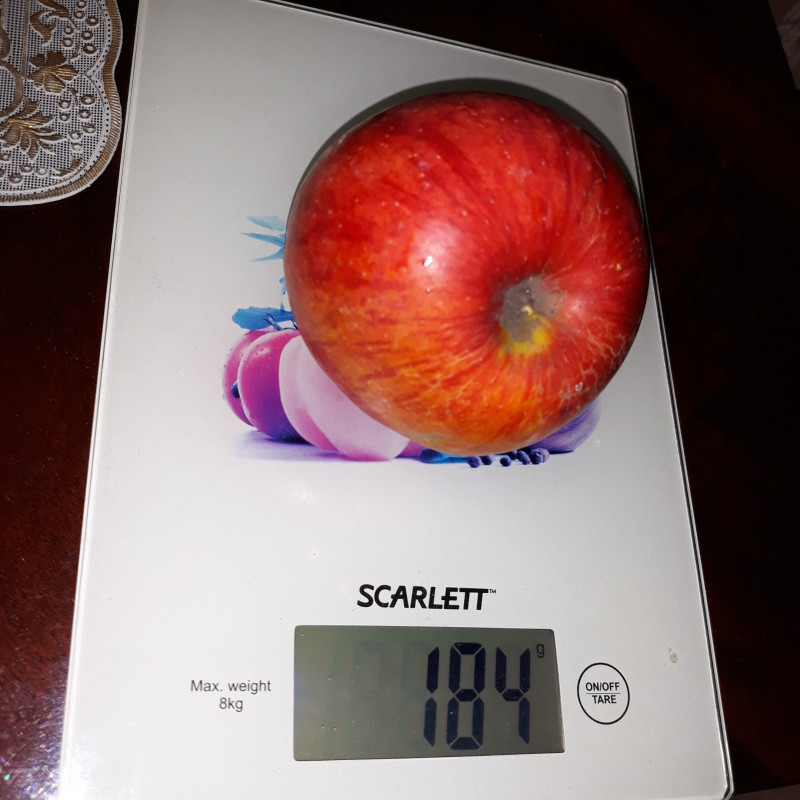 20191103_204814 Харалсон.jpg