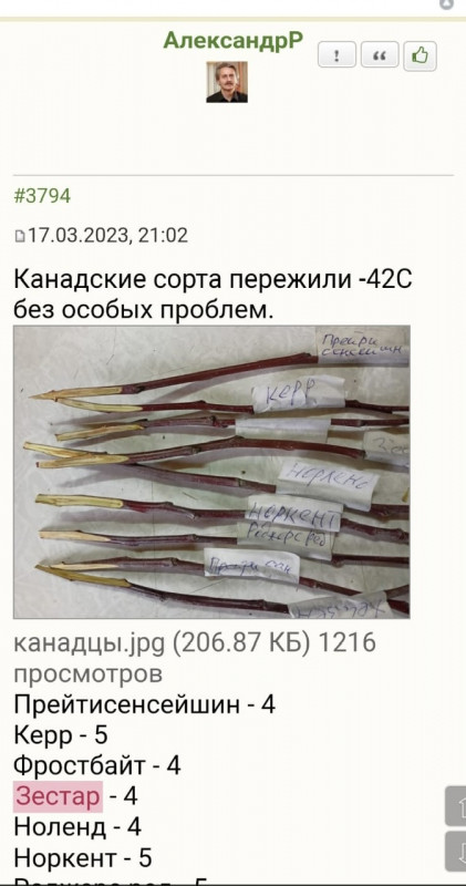 cca3934a-25dd-4bb2-be1c-49e71afb920e.jpeg