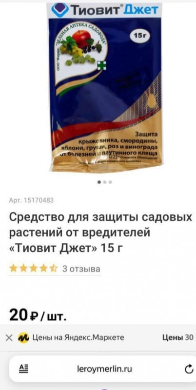 2e0d4453-efca-491b-b2f8-0c5abed33162.jpeg