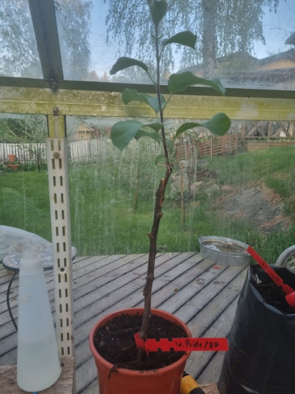 20230523_212405.jpeg