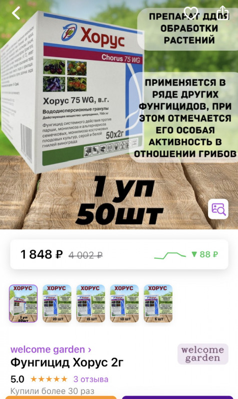IMG_5429.jpeg