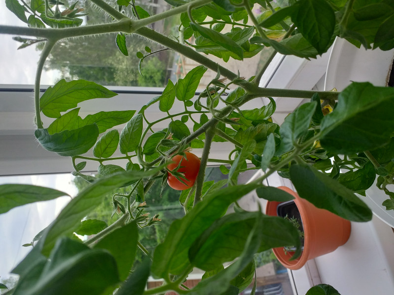 20230531_161912.jpg