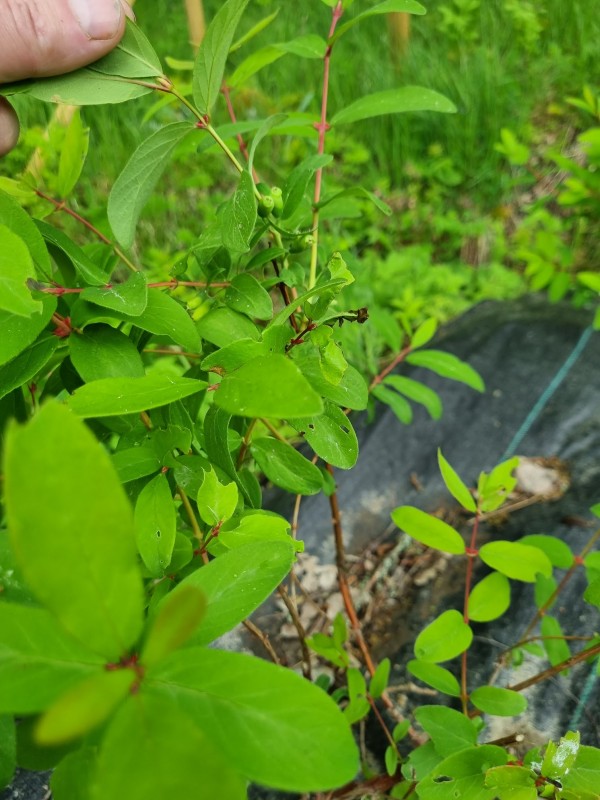 20230604_130740.jpg