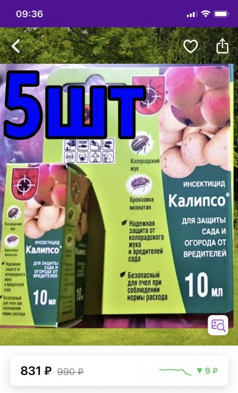 IMG_5466.jpeg