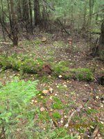 Resize of Rotation of IMG_0890.JPG
