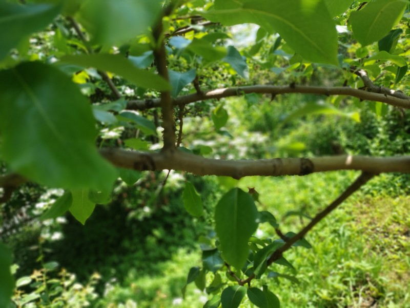 IMG20230608114141.jpg