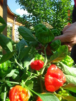 DSC08769.JPG