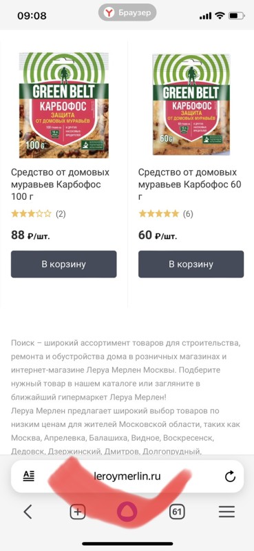 IMG_5511.jpeg
