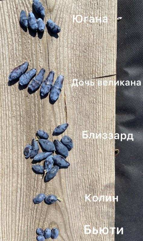 0189B1D9-578C-4616-A2D1-2148B6318F49.jpeg