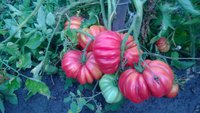 WP_20140902_019.jpg