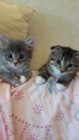 20140830_182201.jpg