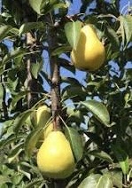 IMG_5593.jpeg