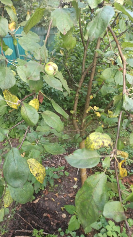 IMG-20230704-WA0098.jpeg