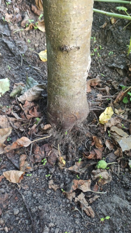 IMG-20230704-WA0106.jpeg
