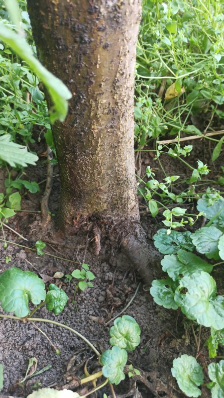 IMG-20230704-WA0102.jpeg