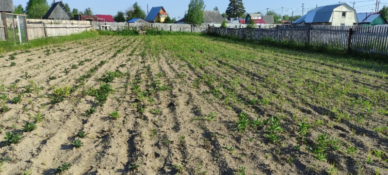 IMG_20230703_171837.jpg