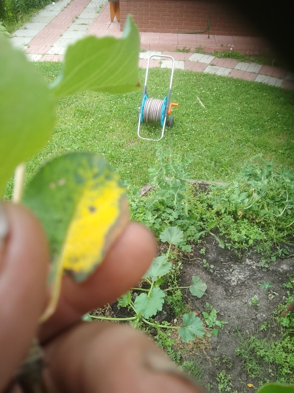 IMG_20230707_110557.jpg