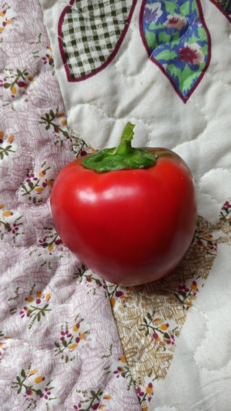IMG-20230713-WA0030.jpeg