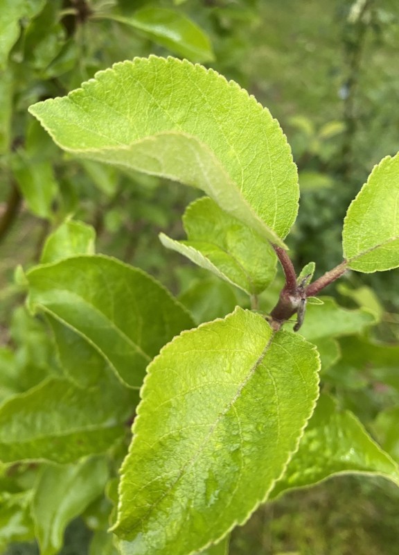 IMG_5719.jpeg