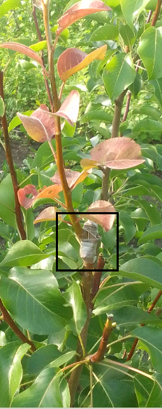 Фото2.PNG