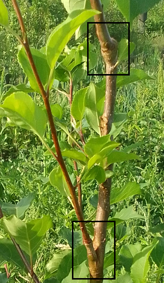 Фото1.PNG