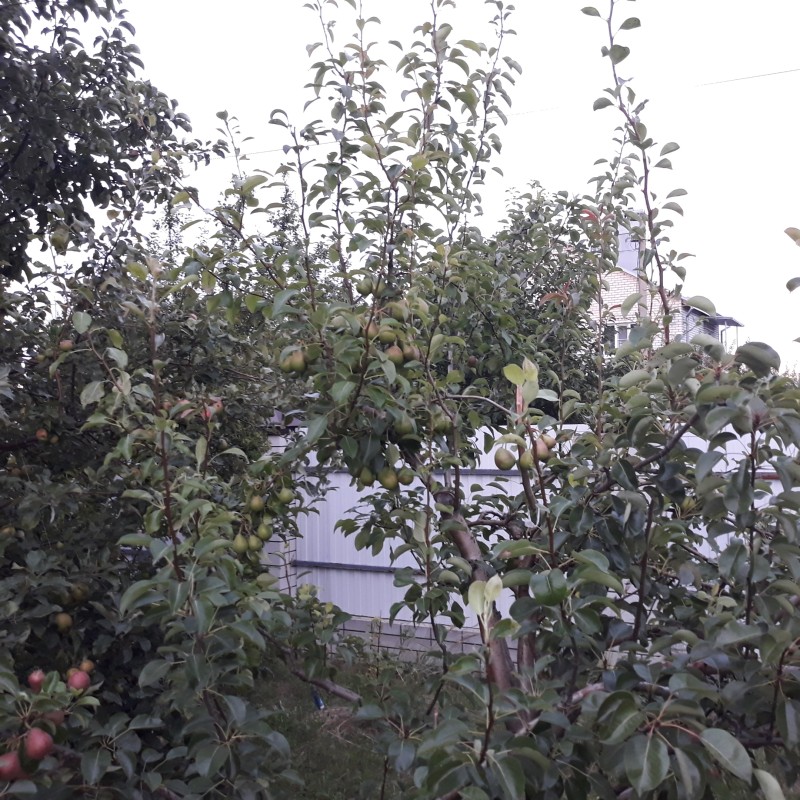 20230716_200709.jpg