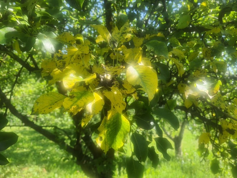 20230717_103859.jpg