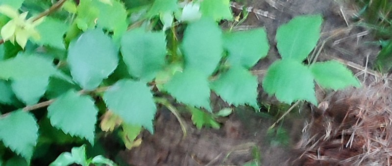 1689792118-picsay.jpg