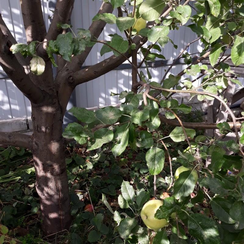 20200928_095631.jpg