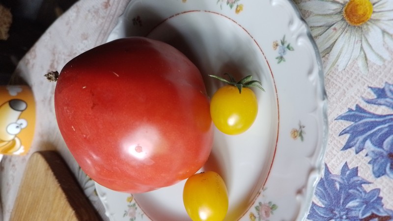 IMG-20230726-WA0000.jpeg
