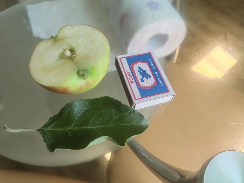 IMG_20230731_125548.jpg