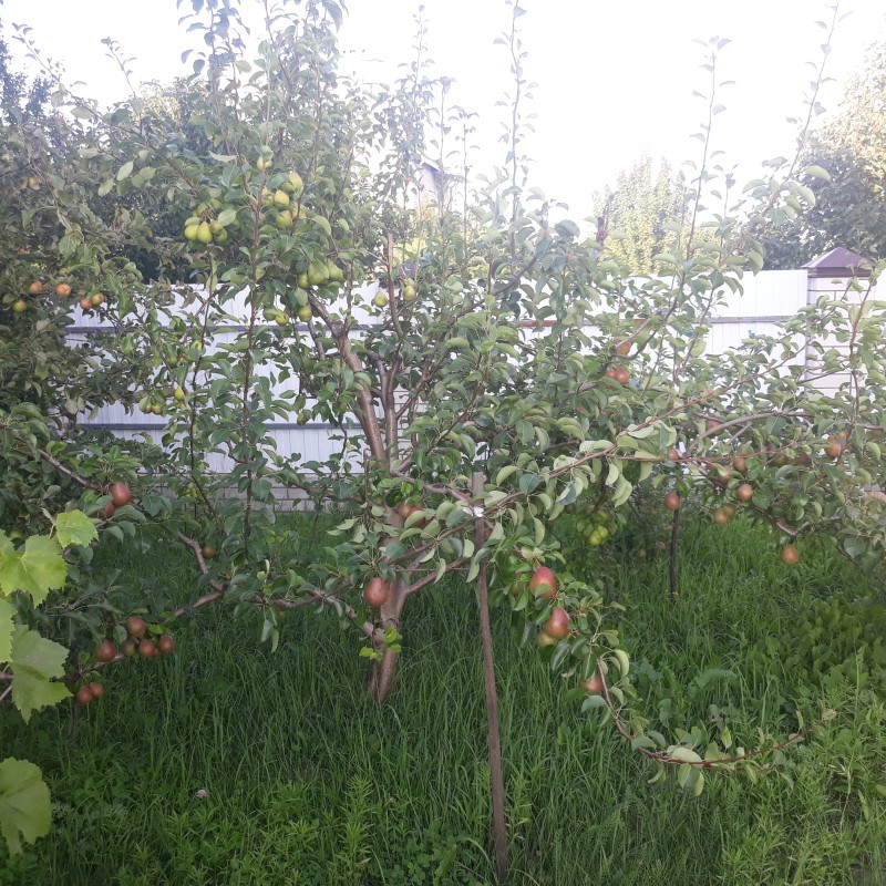 20230802_180014.jpg