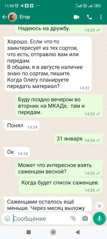 Вот же Егор пишет, что в августе будет знать про черенки.